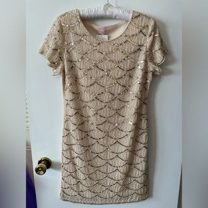 Pink Lily sequin beaded dress NWT